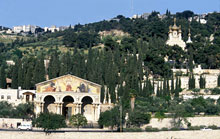 Holy Land