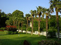 Garden, Crimea, Ukraine